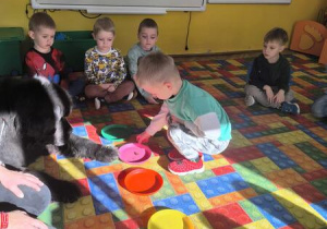 karmienie psa Tadzika