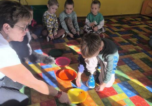 karmienie psa Tadzika