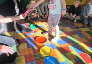 karmienie psa Tadzika