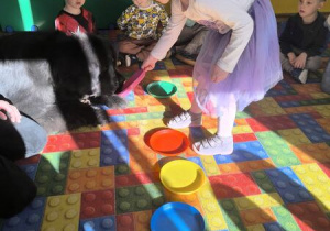 karmienie psa Tadzika