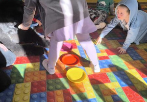 karmienie psa Tadzika