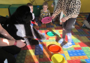 karmienie psa Tadzika