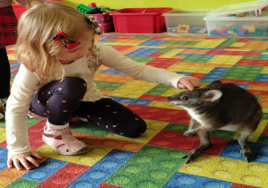 dziewczynka głaszcze kangura