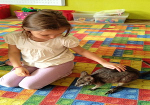 dziewczynka głaszcze kangura