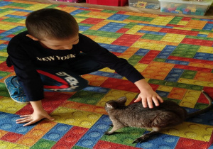 chłopiec głaszcze kangura