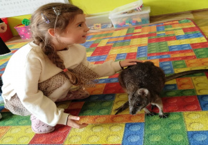 dziewczynka głaszcze kangura