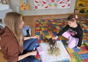 dzieci opisują wygląd kangurka