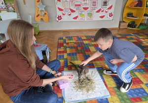 dzieci głaskają kangurka