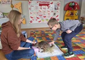 dzieci głaskają kangurka