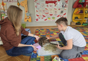 dzieci porównują małego kangurka do dużego kangura