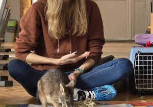 dzieci rozwiązują zagadki o kangurku