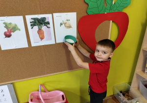 chłopiec pokazuje co mamy z buraka cukrowego