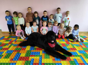 Dogoterapia z psem Tadzikiem