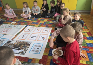 Pogadanka - Czym karmić ptaki