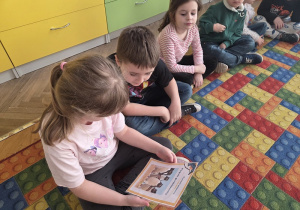 poznajemy ciekawostki o pingwinach