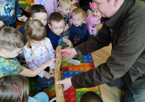 Pan leśniczy opowiada