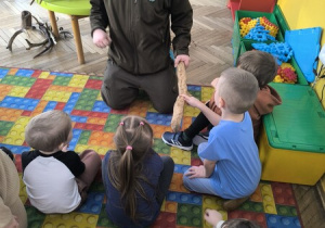 Pan leśniczy opowiada