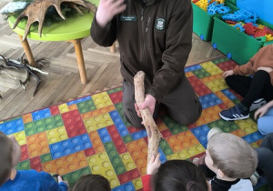 Pan leśniczy opowiada