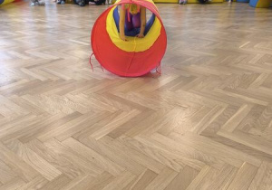 dzieci ćwiczą na sali gimnastycznej