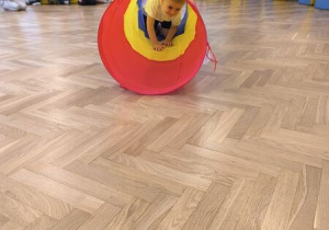 dzieci ćwiczą na sali gimnastycznej