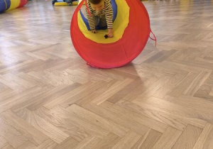 dzieci ćwiczą na sali gimnastycznej