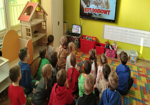 oglądamy bajkę edukacyjną o kocie