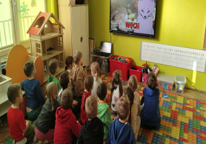 oglądamy bajkę edukacyjną o kocie