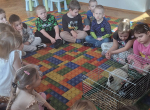 "Odlotowy pokaz" - warsztaty przyrodnicze ze zwierzętami.