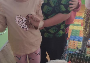 odlotowy pokaz - kura i kaczka.