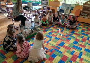 Dzieci poznają kurę i kaczkę