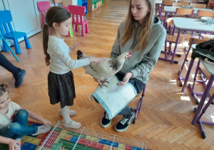 Dziecko głaszcze kurę