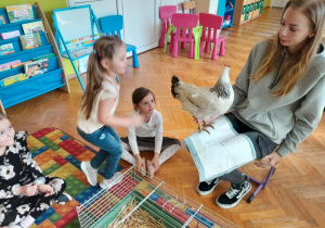 Dziecko głaszcze kurę