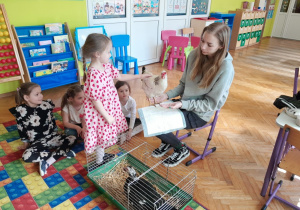 Dziecko głaszcze kurę