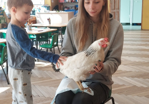 Nietypowe spotkanie z kaczką i kurą