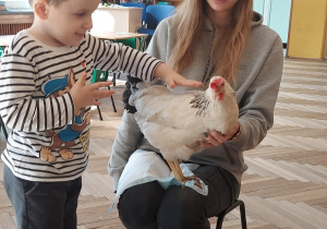 Nietypowe spotkanie z kaczką i kurą