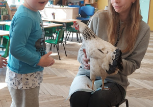 Nietypowe spotkanie z kaczką i kurą