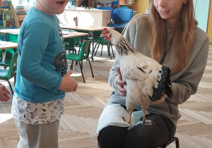 Nietypowe spotkanie z kaczką i kurą