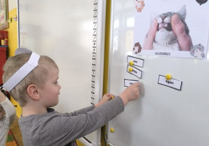 Chłopiec przyczepia obrazek