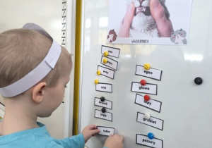 Chłopiec przyczepia obrazek