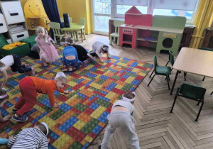 Grupa motylek bawi sie w koty