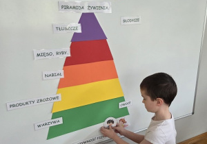 tworzymy piramidę żywienia