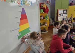 tworzymy piramidę żywienia