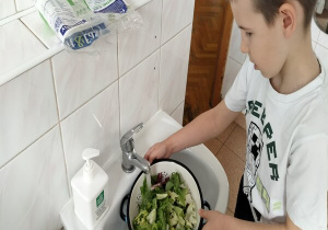 chłopiec myje sałatę