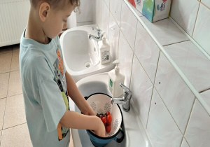 chłopiec myje pomidorki