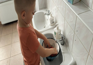 chłopiec myje pomidorki koktajlowe