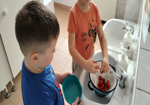 chłopiec odrywa z gałązki umyte pomidorki koktajlowe do pojemniczka