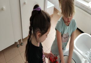 dziewczynka przekłada umyte pomidorki do pojemniczka