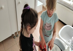 dziewczynka przekłada umyte pomidorki do pojemniczka