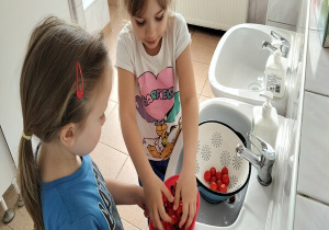 przesypywanie umytych pomidorków do pojemniczka