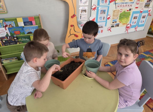 "Od nasionka do roślinki" - projekt Jestem Małym Przyjacielem Przyrody.